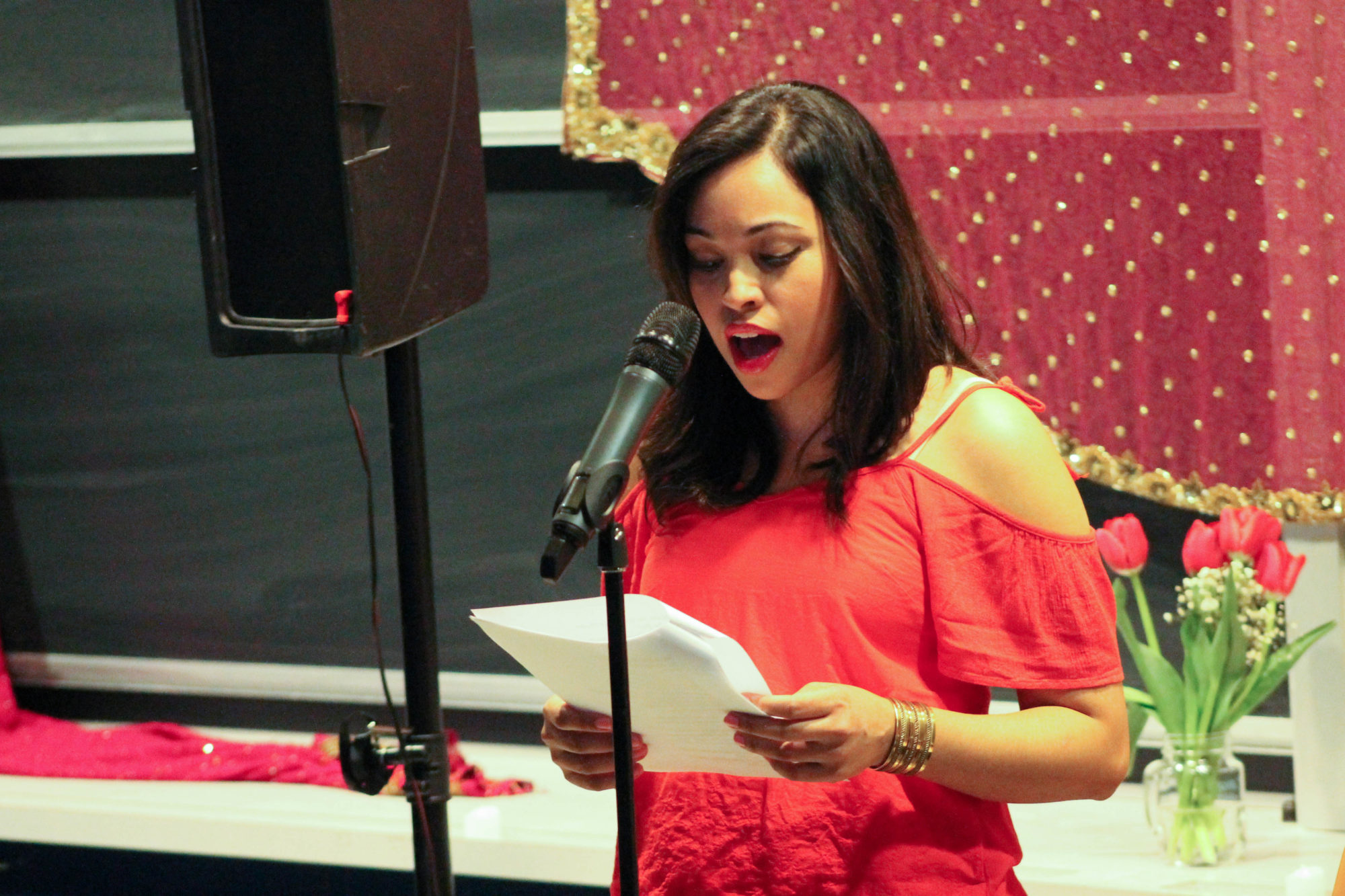 Kaur Voices event photo 34